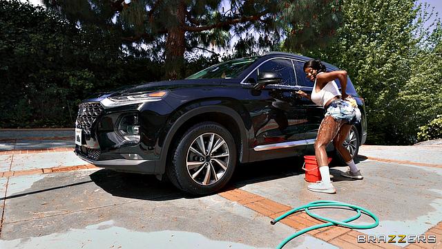 Soapy Sluts Cleaners