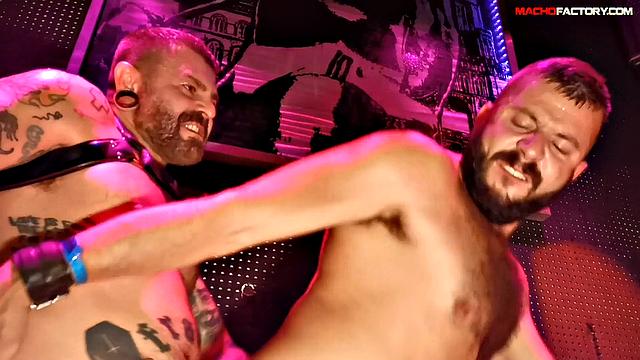Sex on the Dance Floor - Testosterone - Live Hardcore 2019