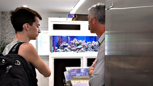 Family Chapter 1: The Bully