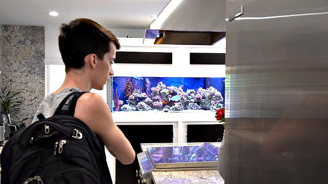 Family Chapter 1: The Bully