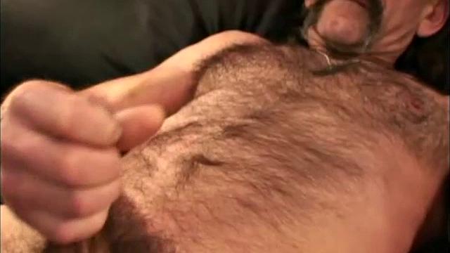 Herman - 1st Meeting