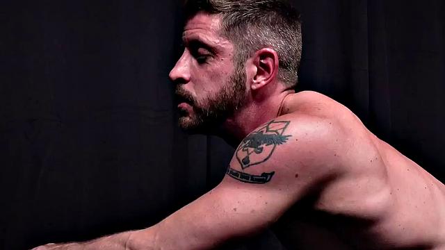 Breeding stallion fucked by curious hunk