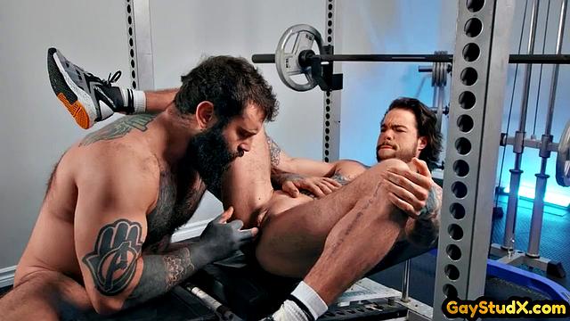 Bearded muscled hunk eating trans pussy