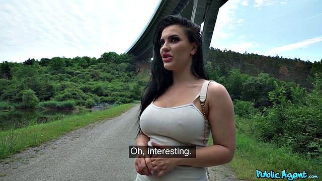 Answering Questions For Dick