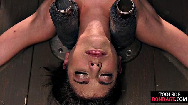 Suspensionbondage babe gets whipped and toyed to the limit