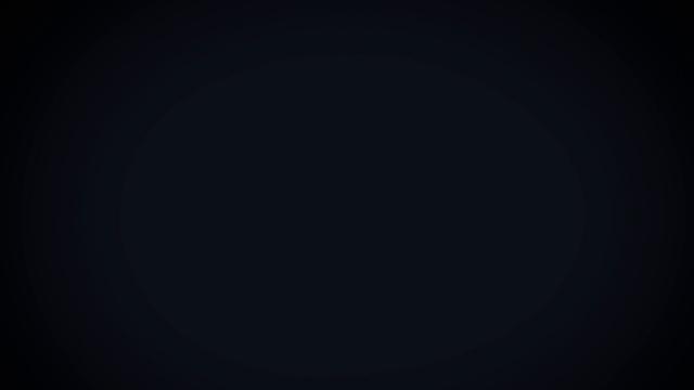 Case No. 6615360 - Thief Gets Caught In A Lie