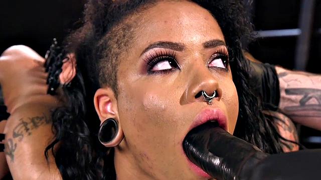 Bound subject toyed with dildo during punishment