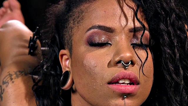 Bound subject toyed with dildo during punishment