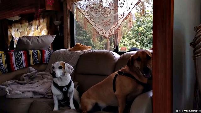 зрелая блондинка с огромными сиськами захватывает кемпинг страстным трахом