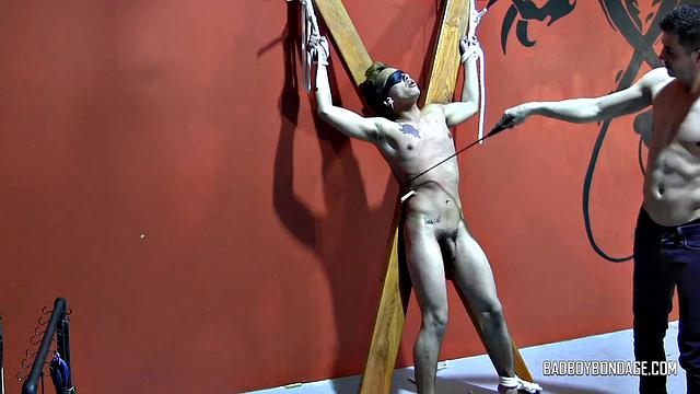 Тай и Уиски - Часть 6 - Тай и Уиски