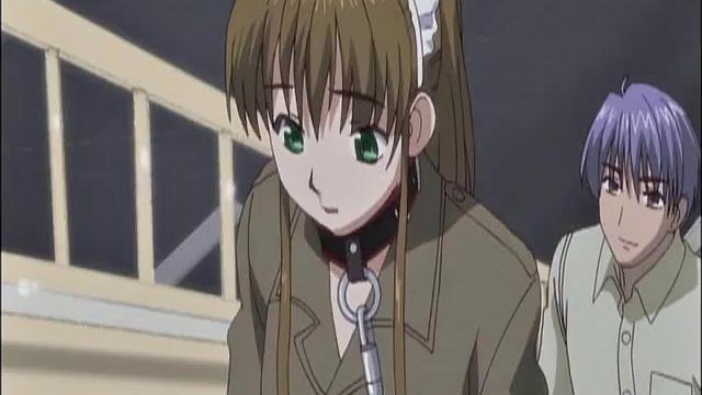 Sexy Big Tit Walks On A Leash Outdoors