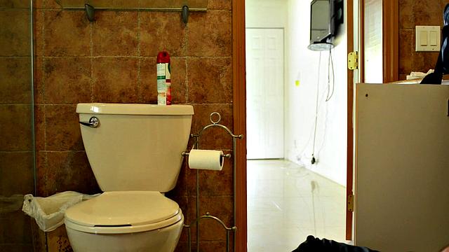 Why do plumbers get all the good fun?