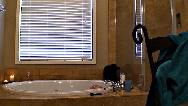 My Girlfriend is a Professional Whore