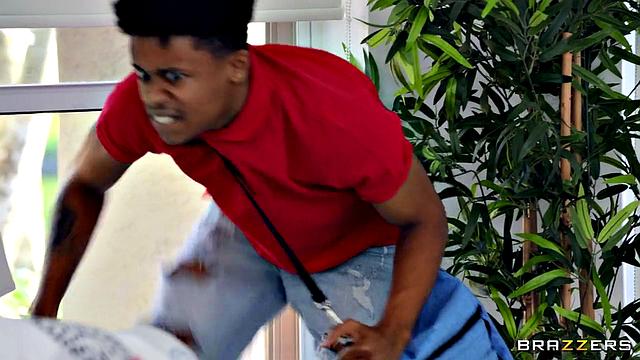 Bra Thief Scores Titties