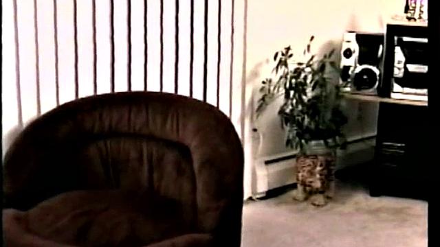 Str8 Enrique Plays With His Dick