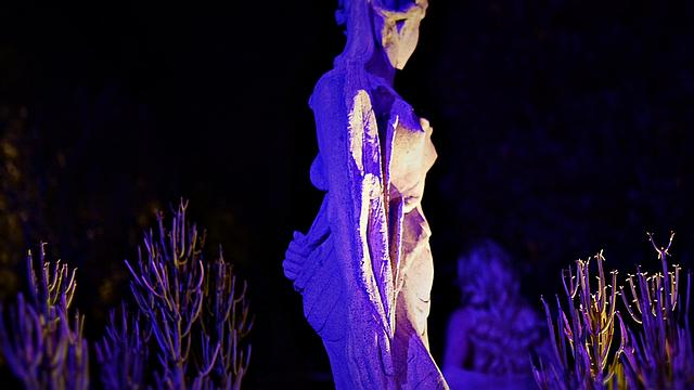 Kendra Sunderland Nightshade