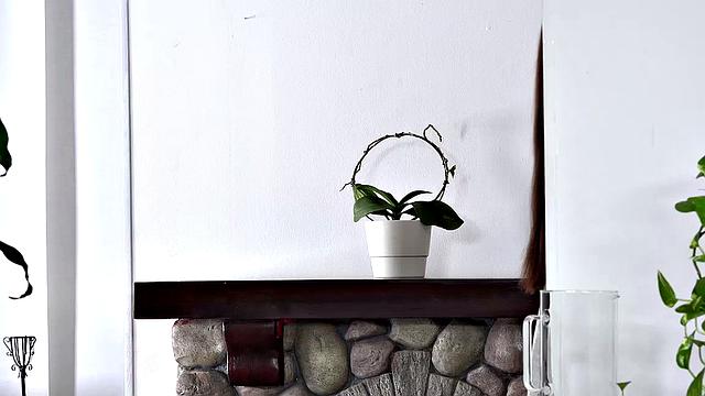 брюнетка пьёт мочу и трахается на диване