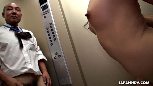 maika и miyama aoi заперты в лифте с боссом, страсти на грани