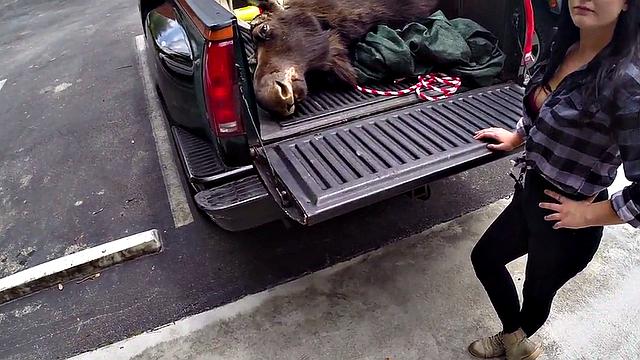 Pawnshop customers fucked in threesome by big dick