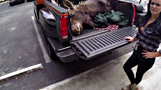 Pawnshop customers fucked in threesome by big dick