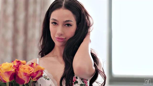 The Perfect Afternoon