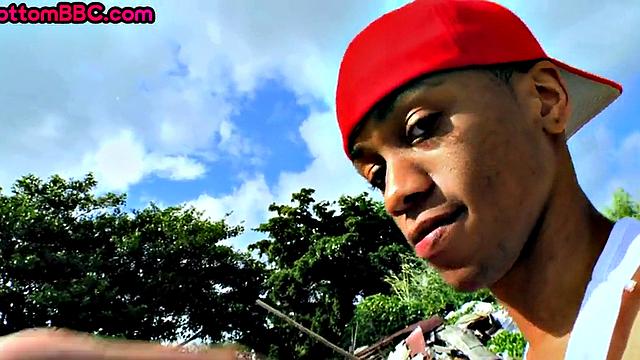 Naive black thug rammed by white guy