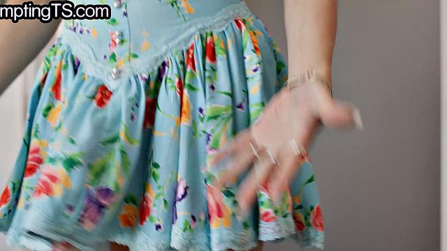 Hung lesbian tgirl fucks petite Asian