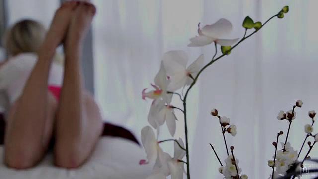 Lingerie Love - S16:E5