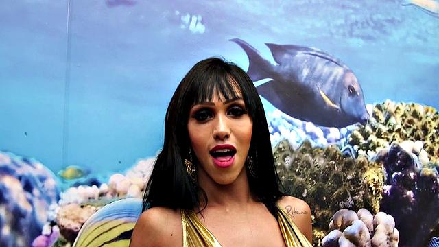 Hot Latina with big ass in lingerie wanks off massive shaft in solo session