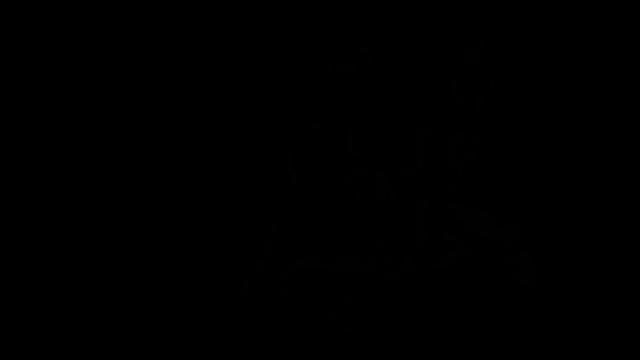 THE BOY JAY Chapter 2 - Auction