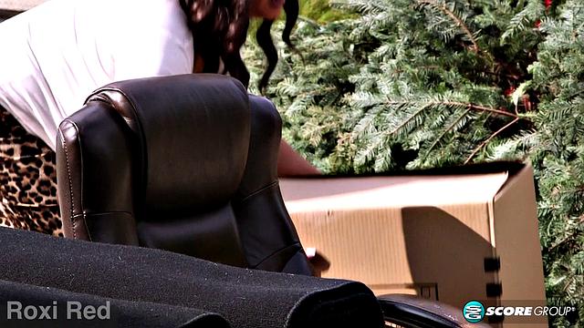 Roxi, Goddess of Gazongas