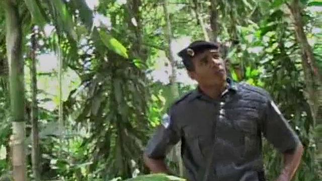 Biker boy Antonio Bello and Samuel Jacques in an oral session when we discover sexy Brazilians behind the bushes. Pretty-boy Samuel is talented in taking cock and filling his Latin ass.