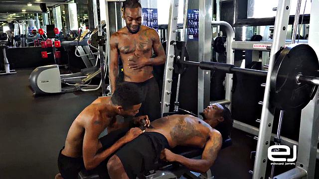 Keno, Phoenix and Reed