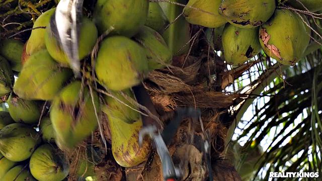 Сочная блондинка Gia OhMy завела соседа на пальму и дала ему по полной у себя дома.