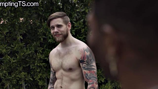 Greedy trans handling two cocks