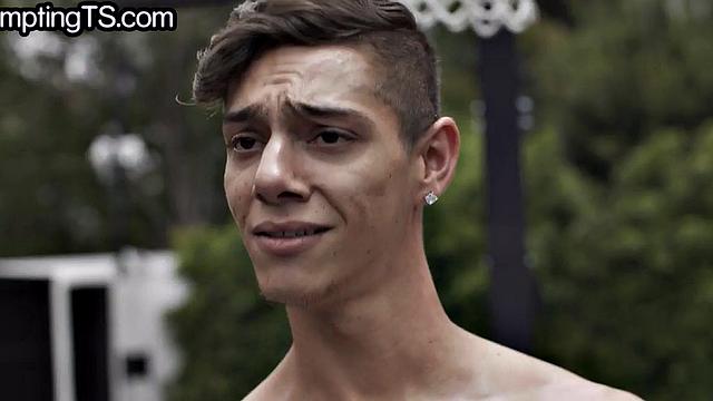 Greedy trans handling two cocks