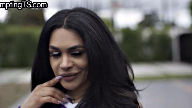 Greedy trans handling two cocks