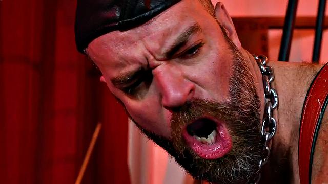 Hairy beardaddy in boots and leather assfisted by stud