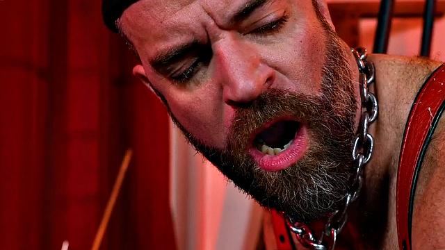 Hairy beardaddy in boots and leather assfisted by stud