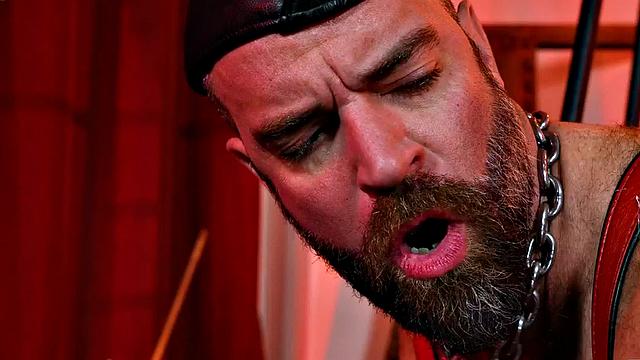 Hairy beardaddy in boots and leather assfisted by stud