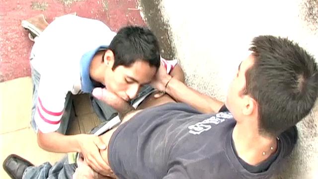 Horny young Latinos Hernan and Hernando discover a private place to have sex and it isn't long before the boys are sucking each others' cock.