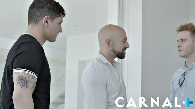 THE BUSINESSMAN Chapter 18 - Indulgences