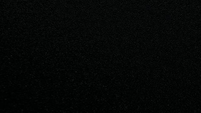 Alexsis Faye and Sport Show