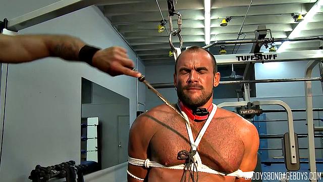 Specialist Gym Workout - Colin Steele &amp;amp; Jessie Balboa