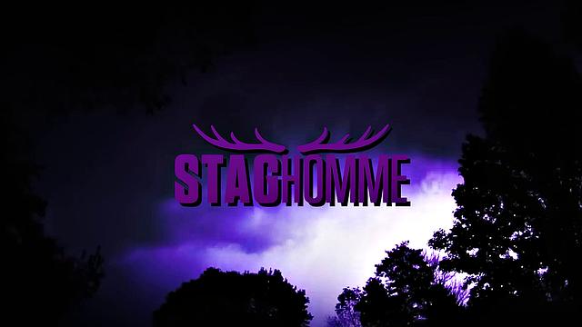 THE MAFIA - Entertainment