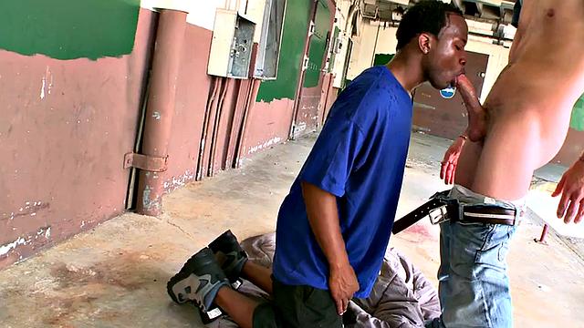 Black bottom picked up and fucked in ass by white stud