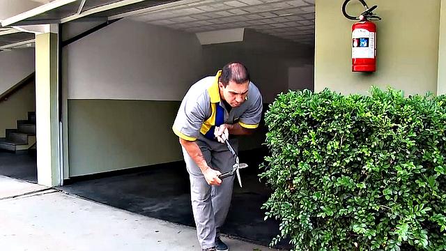 Beautiful Shemale Mariana Lins Is Persuaded to Suck and Fuck