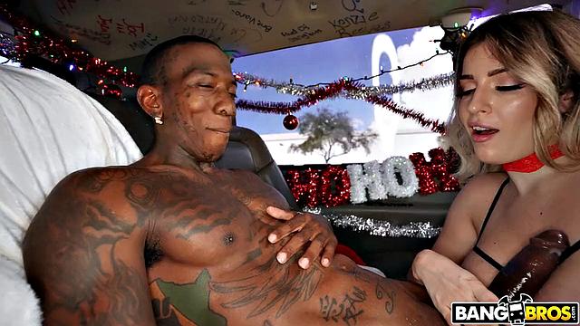 Searching for Christmas Dicks