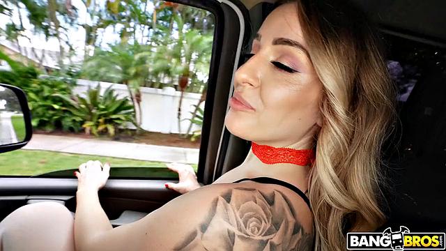 Searching for Christmas Dicks