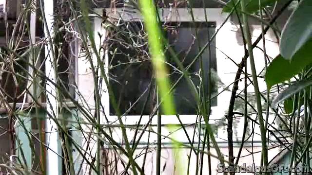 Sexy Girl Gets Filmed In the Shower